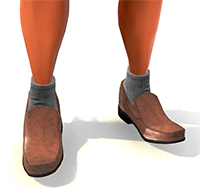 Brownslipshoes200.png