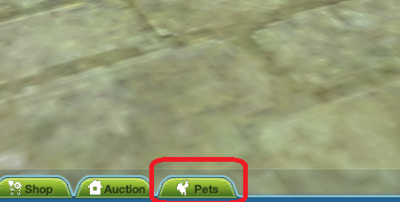 Pets Button.png